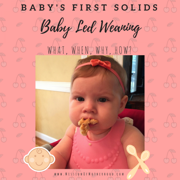 Baby Led Weaning