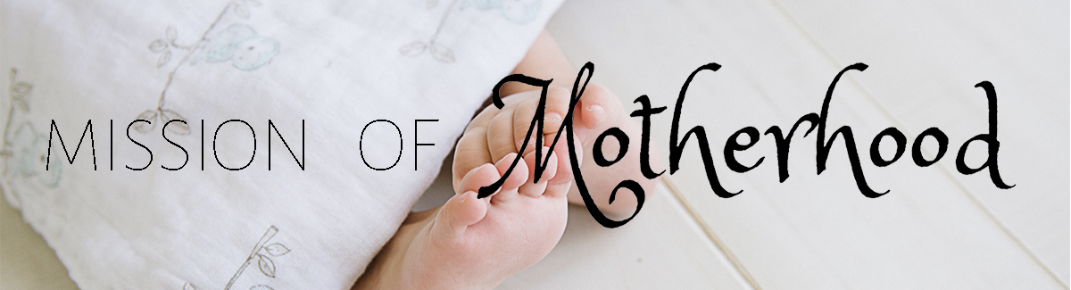 Mission of Motherhood - Forgiven sinner saved by grace, wife, joy-seeker, community-builder, hot-mess mama bear, encourager.