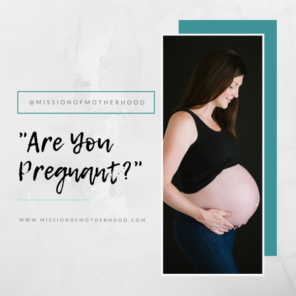 Are You Pregnant? - missionofmotherhood.com