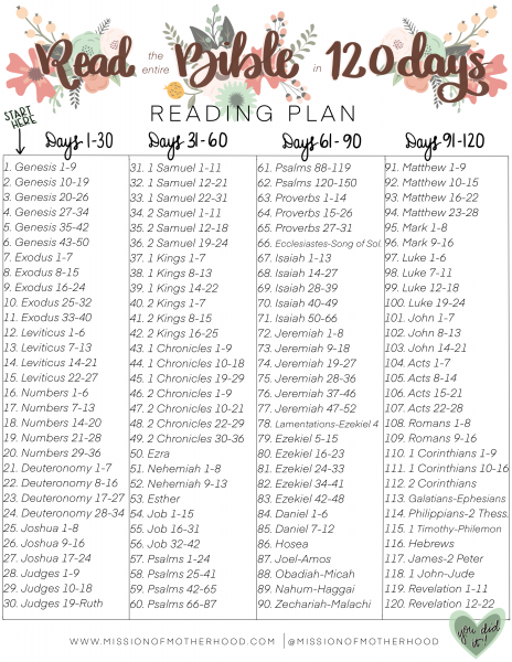 120 Day Bible Reading Plan - www.missionofmotherhood.com