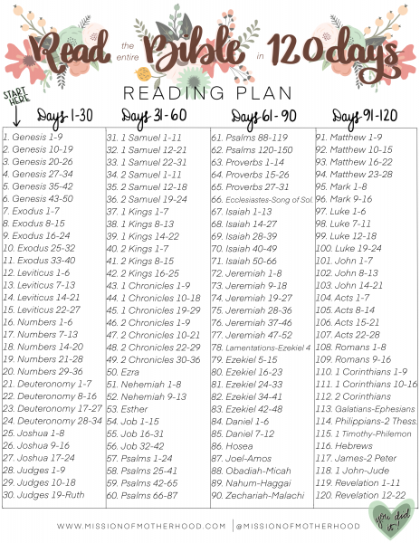 free-bible-reading-plan-printable-free-printable-templates