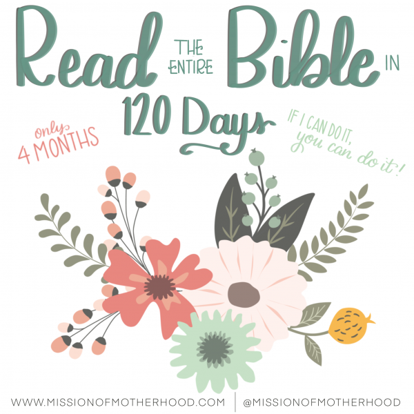 Daily Bible Reading Plan Read the New Testament in a 100 days 1pc- Russian 