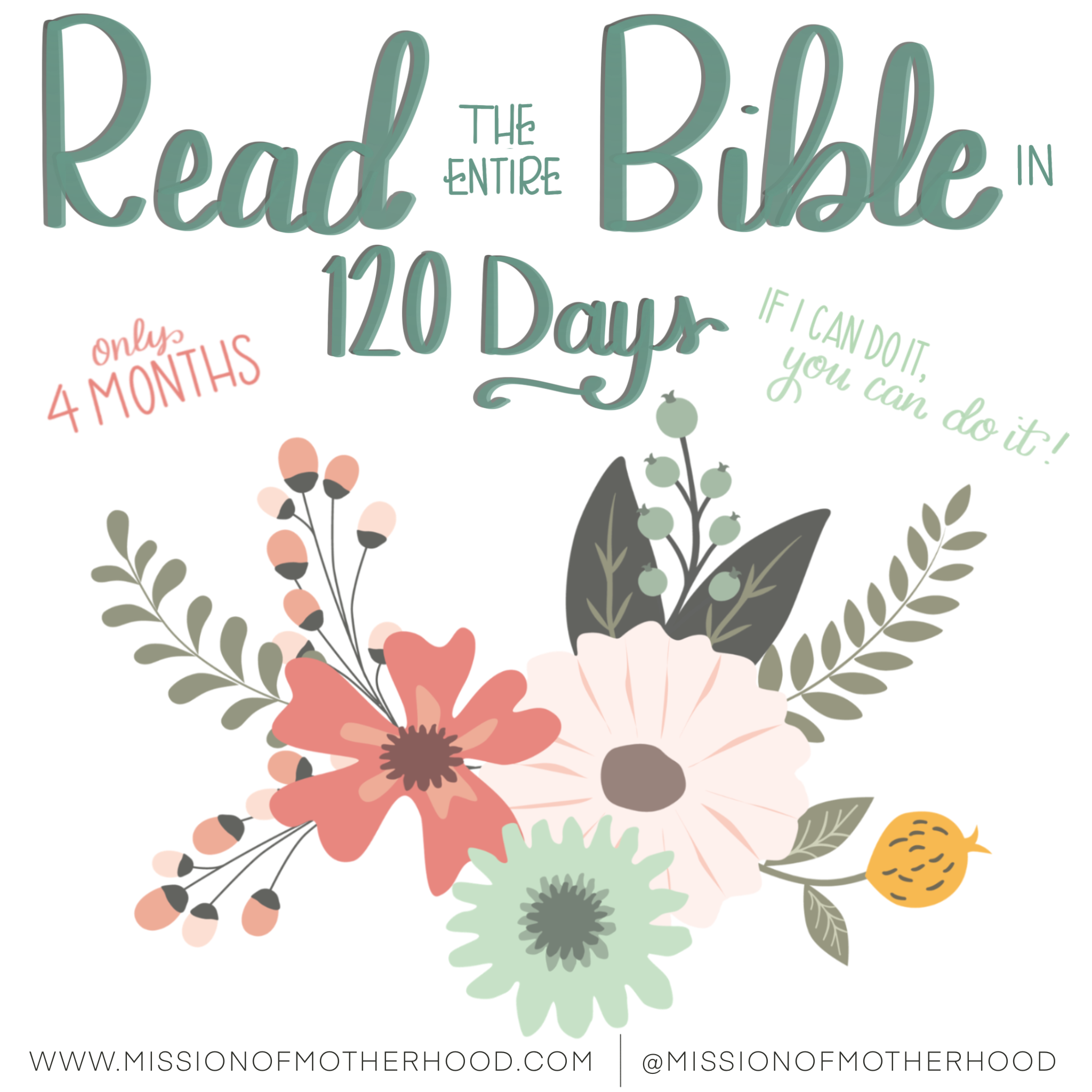 Gratitude Journal for Women: 120 Days with Prompts to Guide Your  Thankfulness